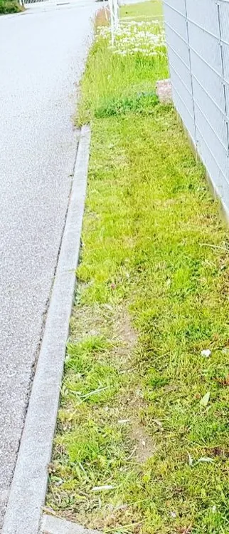 Derselbe Grünstreifen gemäht und gepflegt